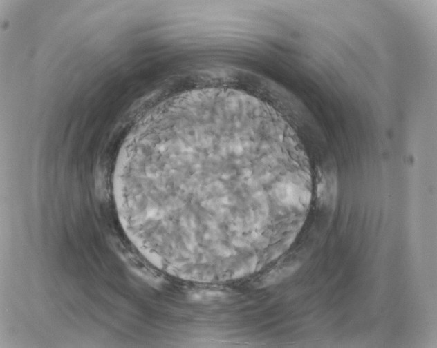 X0000087700819200706011742