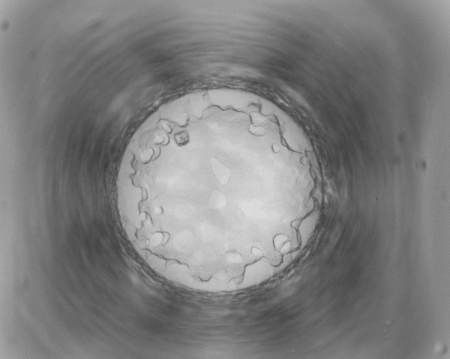 X0000087700820200706011742