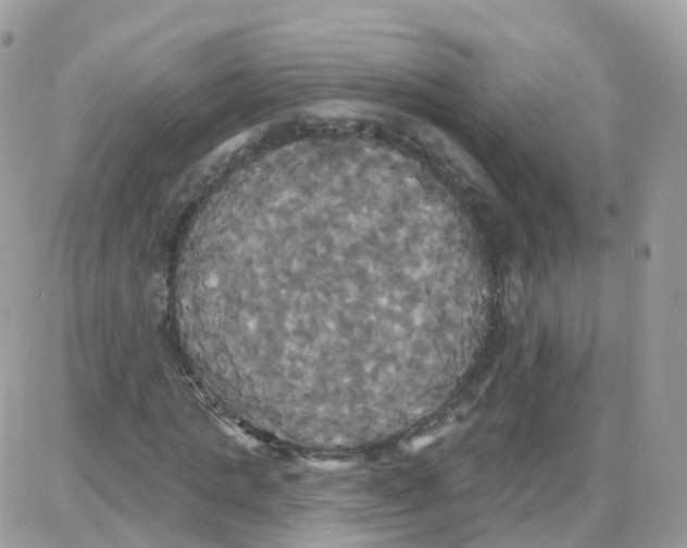 X0000087700821200706011742