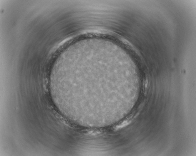 X0000087700822200706011742