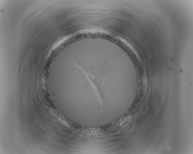 X0000087700823200706011742