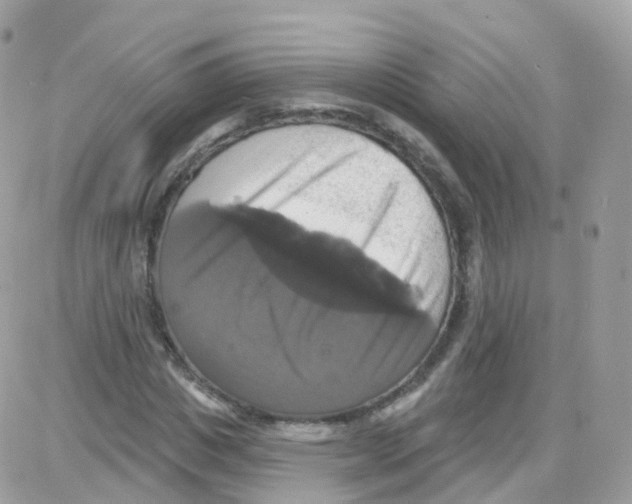 X0000087700825200706011742