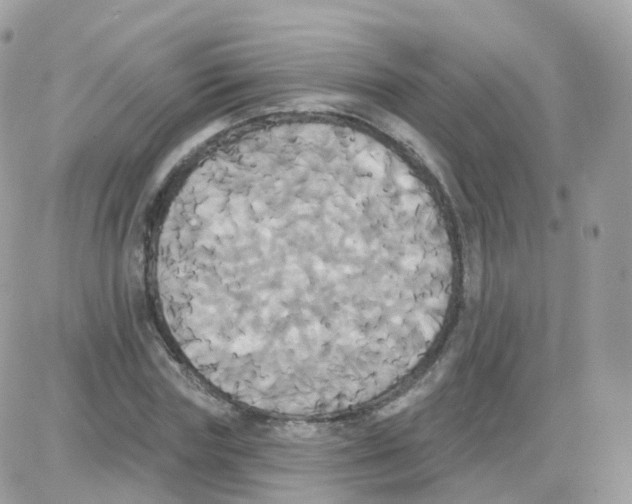 X0000087700827200706011742