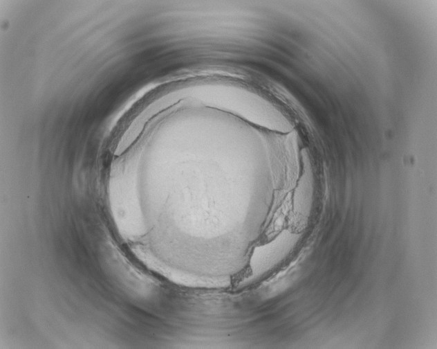 X0000087700828200706011742