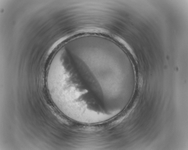 X0000087700829200706011742