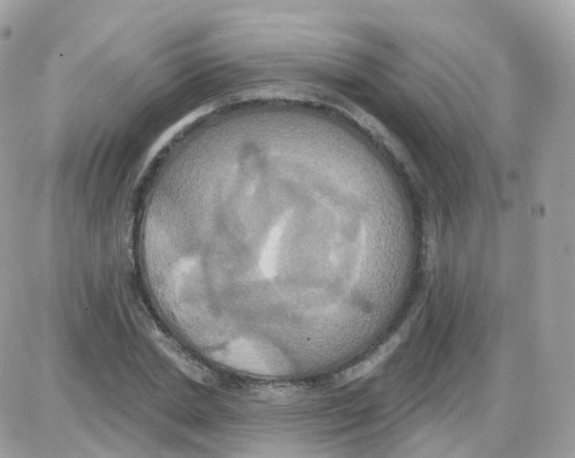 X0000087700830200706011742