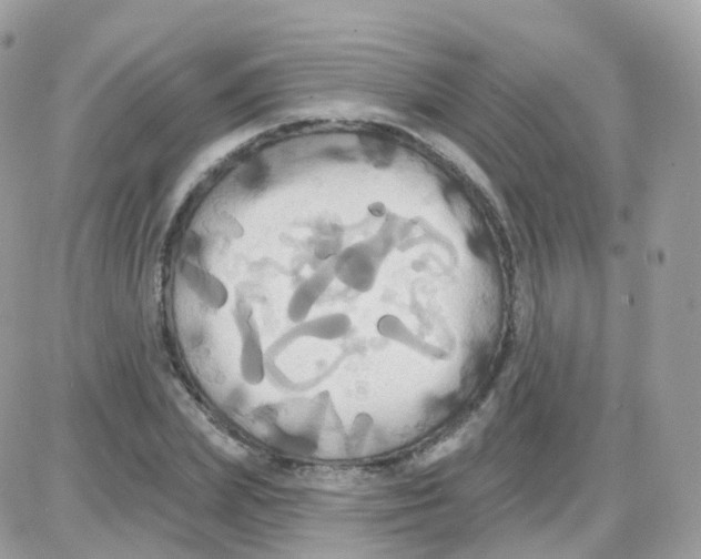 X0000087700831200706011742