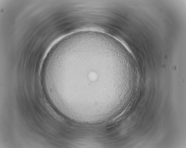 X0000087700832200706011742