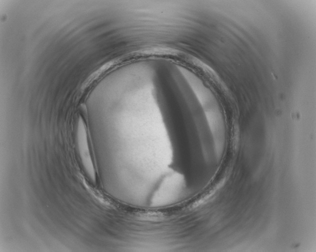 X0000087700833200706011742