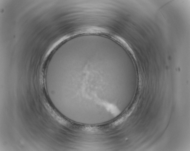 X0000087700835200706011742