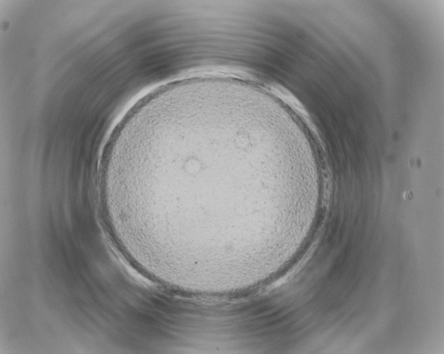 X0000087700836200706011743