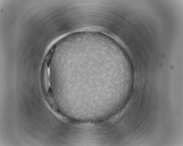 X0000087700838200706011743