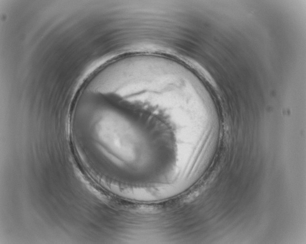 X0000087700839200706011743