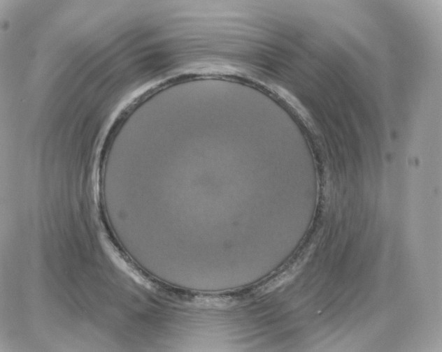 X0000087700840200706011743