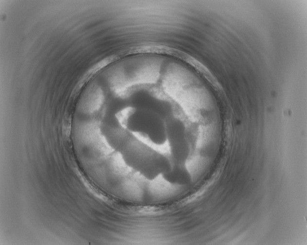 X0000087700841200706011743