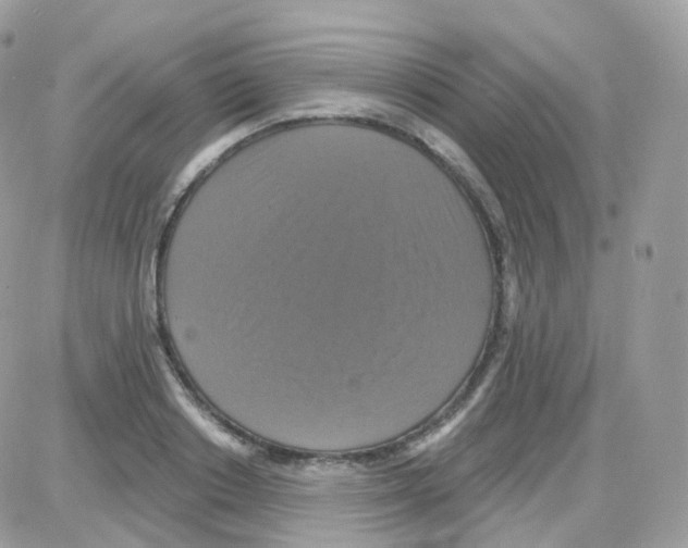 X0000087700842200706011743