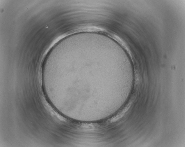 X0000087700843200706011743