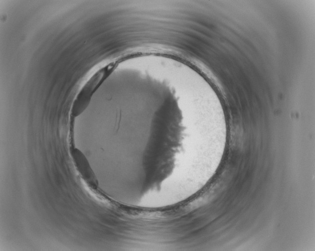 X0000087700845200706011743