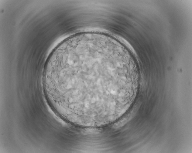 X0000087700847200706011743