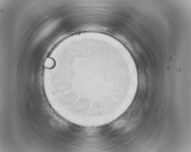 X0000087700848200706011743