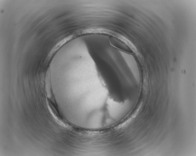 X0000087700849200706011743