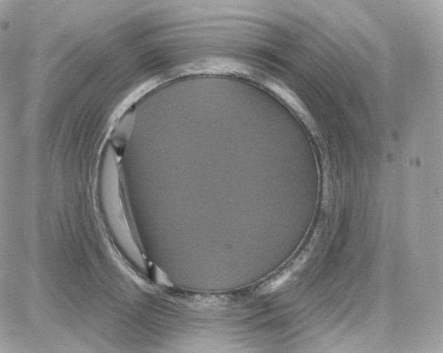 X0000087700850200706011743