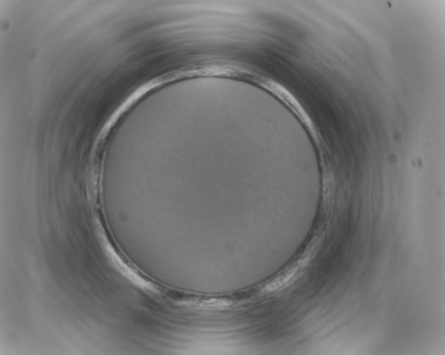 X0000087700851200706011743