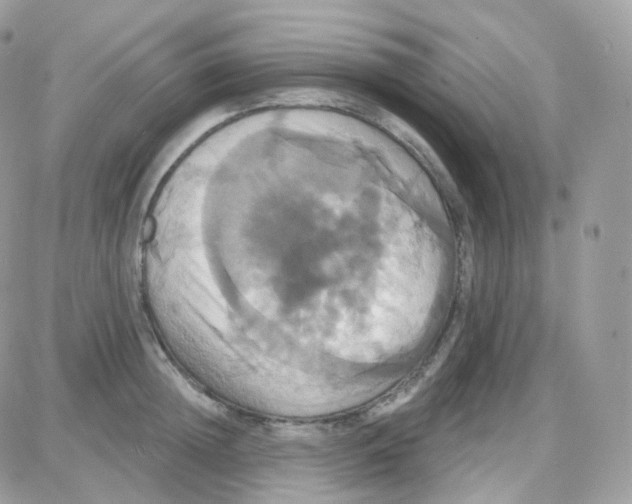 X0000087700852200706011743