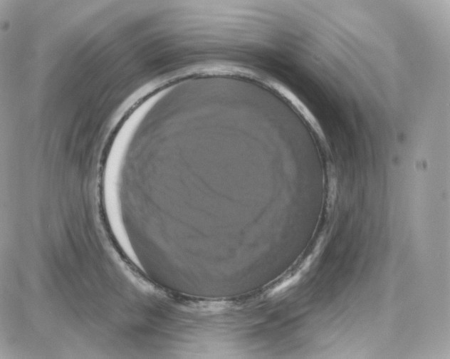 X0000087700853200706011743