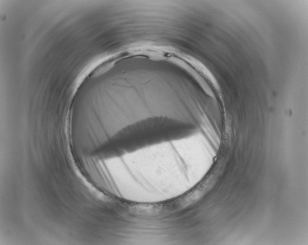 X0000087700855200706011743