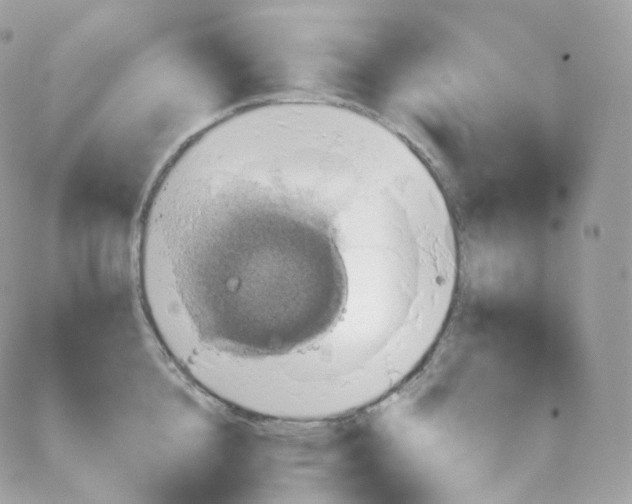 X0000087700856200706011743