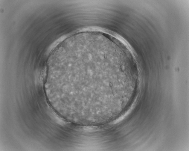 X0000087700857200706011743