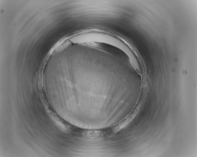 X0000087700858200706011743