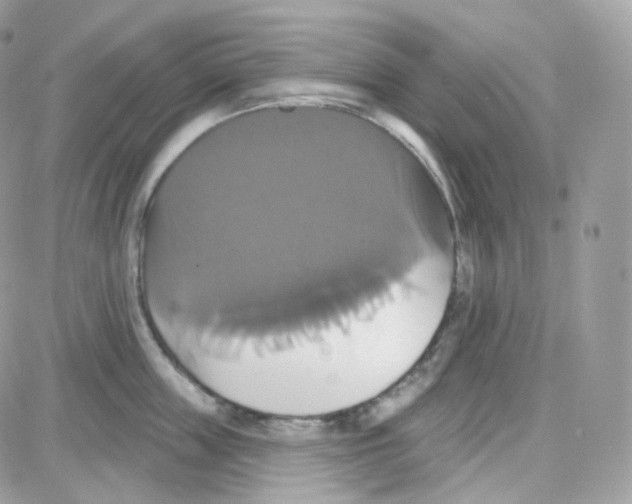 X0000087700859200706011743