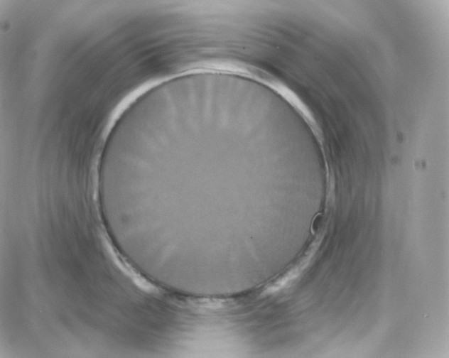 X0000087700862200706011743