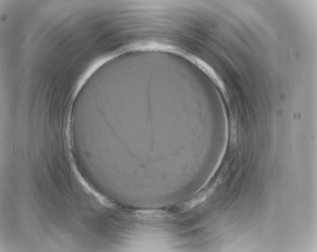 X0000087700863200706011743