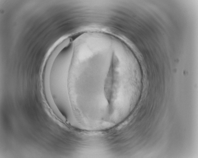 X0000087700864200706011743