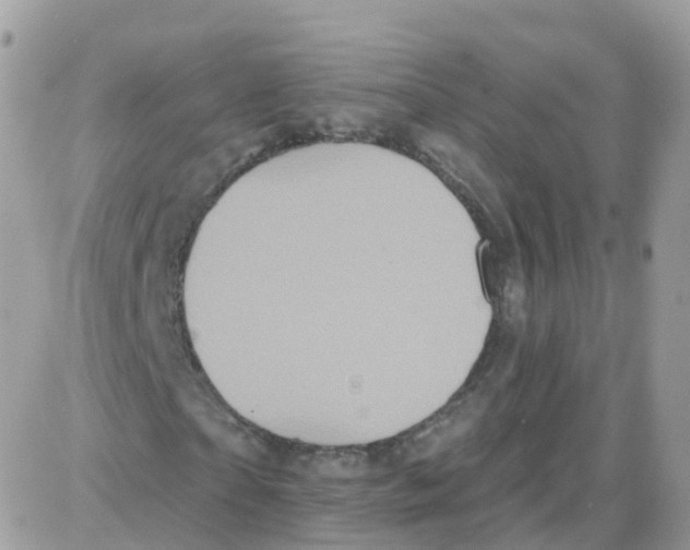 X0000087700865200706011742