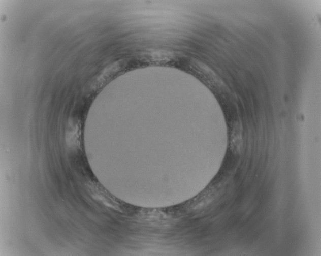 X0000087700866200706011742