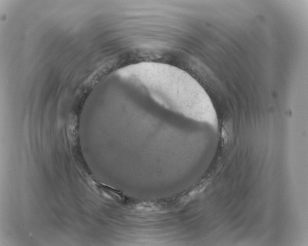 X0000087700867200706011742