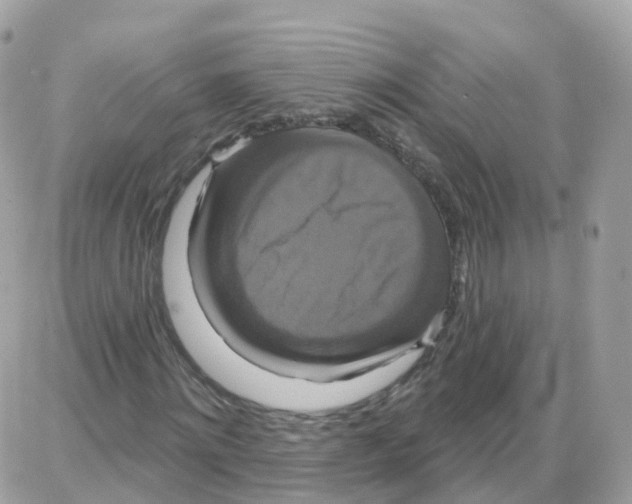 X0000087700868200706011742