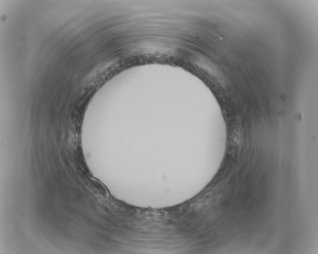 X0000087700869200706011742