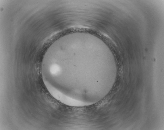 X0000087700870200706011742