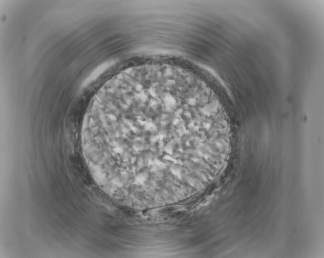 X0000087700871200706011742