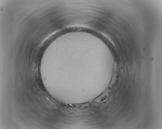 X0000087700872200706011742