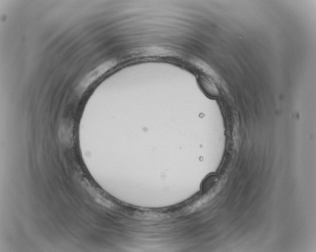 X0000087700873200706011742