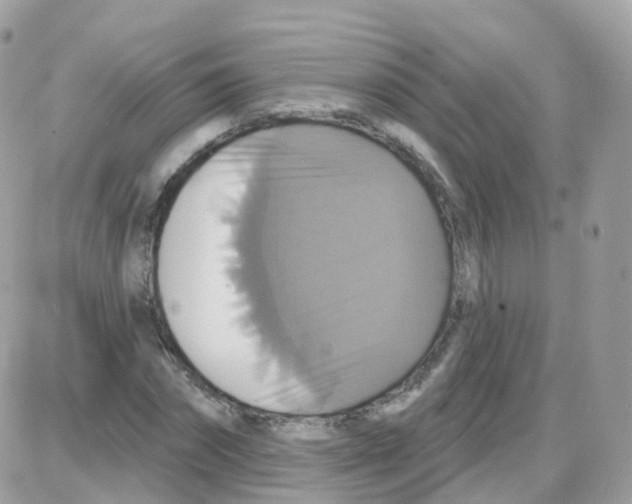 X0000087700874200706011742