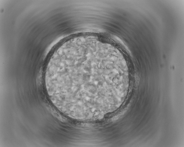 X0000087700875200706011742