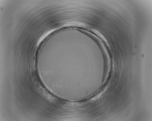 X0000087700877200706011742