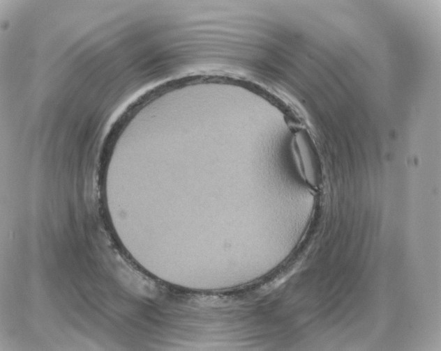 X0000087700880200706011742